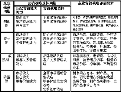 天法道：企業生命周期管理中的營銷戰略評估