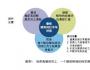 如何打造高績效團隊？
