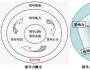 “寬容領導力”是老板影響力的基因
