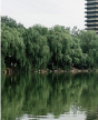 中國建筑業(yè)EMBA高級研修班