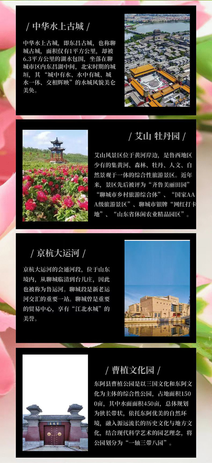 CMO參訪_06