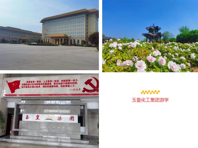 2024年后E黃埔一班玉皇化工集團游學