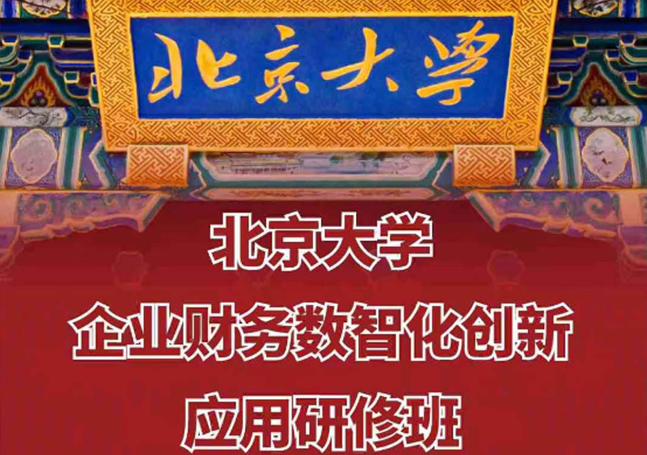 北京大學企業財務數智化創新應用研修班