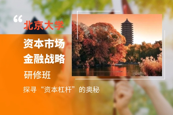 北京大學資本市場與金融戰略高級研修班
